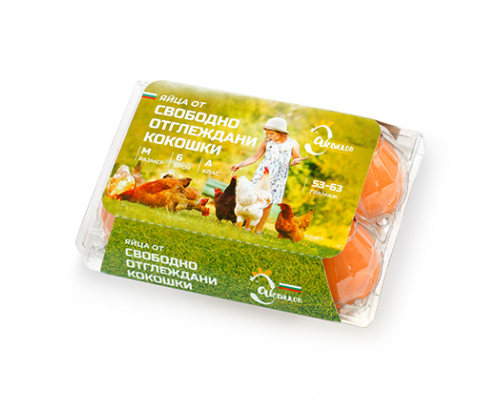 Яйца от свободно отглеждани кокошки 6бр Размер М Яйца от свободно отглеждани кокошки 6бр Размер М