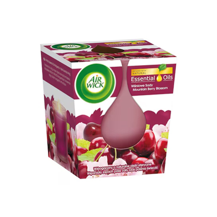 Ароматна свещ Еъруик 105г