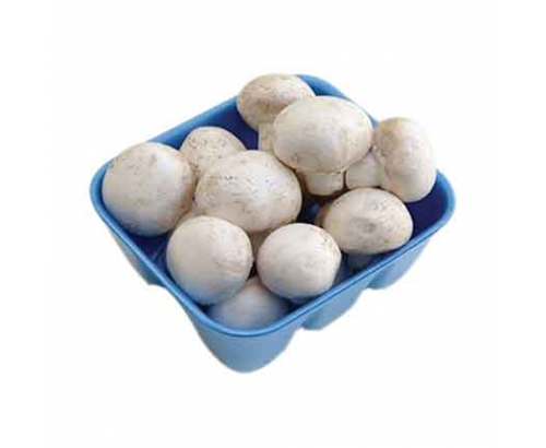 Гъба Тарелка 250г Гъба Тарелка 250г