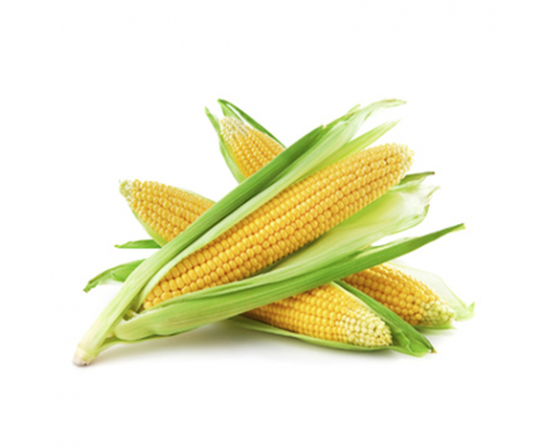 Царевица Царевица